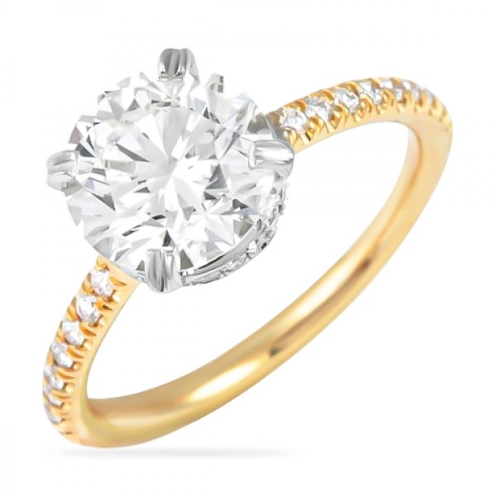 1.70ct Round Diamond Two-Tone Invisible Gallery™ Engagement Ring angle