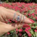 3.02ct Emerald Cut Diamond Three-Stone Engagement Ring lifestyle flowers