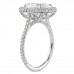 2.73 carat Oval Lab Diamond Double Edge Halo Engagement Ring profile