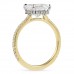 2.35 carat Asscher Cut Lab Diamond Two-Tone Ring pofile