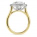 3.71 carat Oval Lab Diamond Halo Ring profile