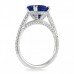 3.36ct Sapphire Round Cathedral Platinum Ring profile