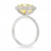 4 carat Yellow Cushion Cut Diamond Halo Ring profile